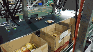 4.蠶豆現場生產視頻_clip.gif